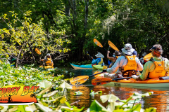 Hillsborough-River-aug-2022-48