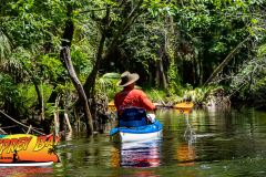 Hillsborough-River-aug-2022-67