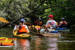 Hillsborough-River-aug-2022-72