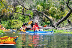 Hillsborough-River-aug-2022-81