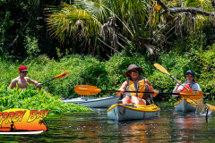 Hillsborough-River-aug-2022-84