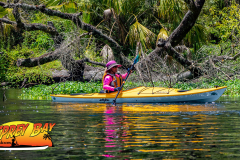 Hillsborough-River-aug-2022-85