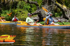 Hillsborough-River-aug-2022-87