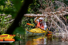 Hillsborough-River-aug-2022-96