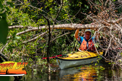 Hillsborough-River-aug-2022-98