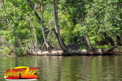 hillsborough-river-2024-111