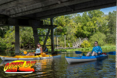 hillsborough-river-2024-7