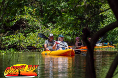 hillsborough-river-2024-94