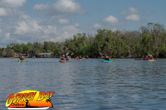 Homosassa-March2023-65