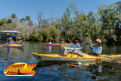 homosassa2025-60