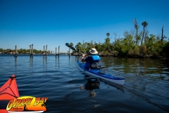 Homosassa-River-2020-10