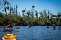 Homosassa-River-2020-19