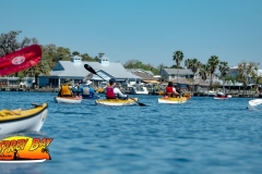 Homosassa-River-2020-42