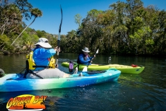 Homosassa-River-2020-52