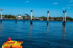Homosassa-River-2022-10