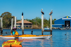 Homosassa-River-2022-12