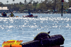 Homosassa-River-2022-125