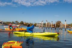 Homosassa-River-2022-17