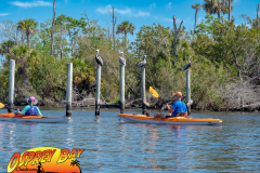 Homosassa-River-2022-25