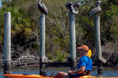 Homosassa-River-2022-26