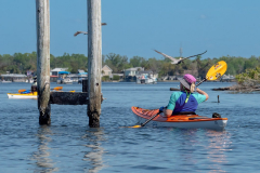 Homosassa-River-2022-29
