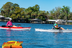 Homosassa-River-2022-37