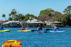 Homosassa-River-2022-38