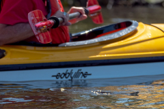 Homosassa-River-2022-44