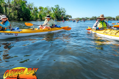 Homosassa-River-2022-48