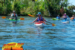 Homosassa-River-2022-49