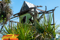 Homosassa-River-2022-5