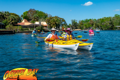 Homosassa-River-2022-78