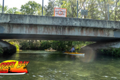 Homosassa-River-2023-53