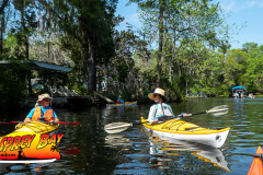 Homosassa-River-2023-58