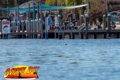 homosassa-2026-100