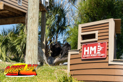 homosassa-2026-2