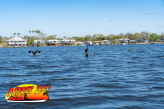 homosassa-2026-42