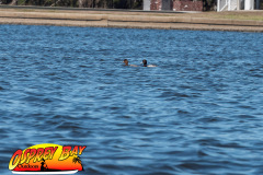 homosassa-2026-46