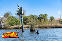 homosassa-2026-48