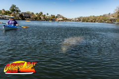 homosassa-2026-71
