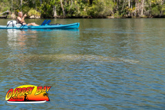 homosassa-2026-73