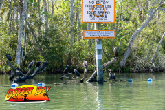 homosassa-2026-74
