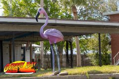 homosassa-2026-94