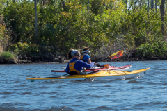Homosassa-River-2021-108