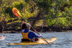 Homosassa-River-2021-109
