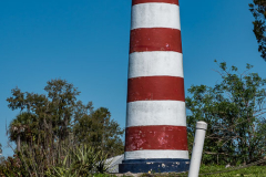 Homosassa-River-2021-11