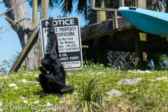 Homosassa-River-2021-2