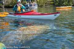Homosassa-River-2021-74