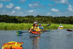 Myakka-river-2021-39
