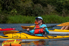 Myakka-river-2021-49